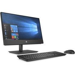 HP ProOne 600 G5 Core i3-9100/3.6 GHz 8 Go/256 Go SSD/wf/21,5FHD/W10P/3 ans